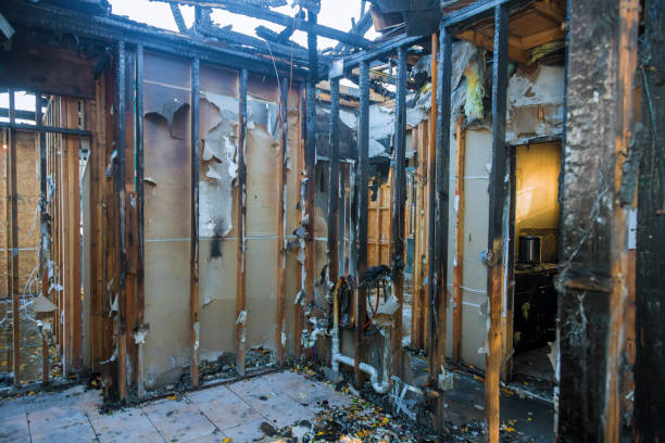 Professional Soot Cleanup technician working in Dandridge, TN